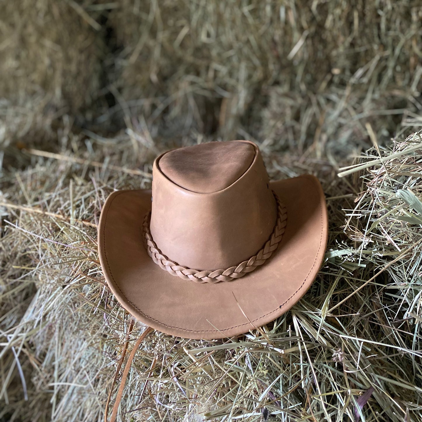 THE INDIANA HADZAM Size XL