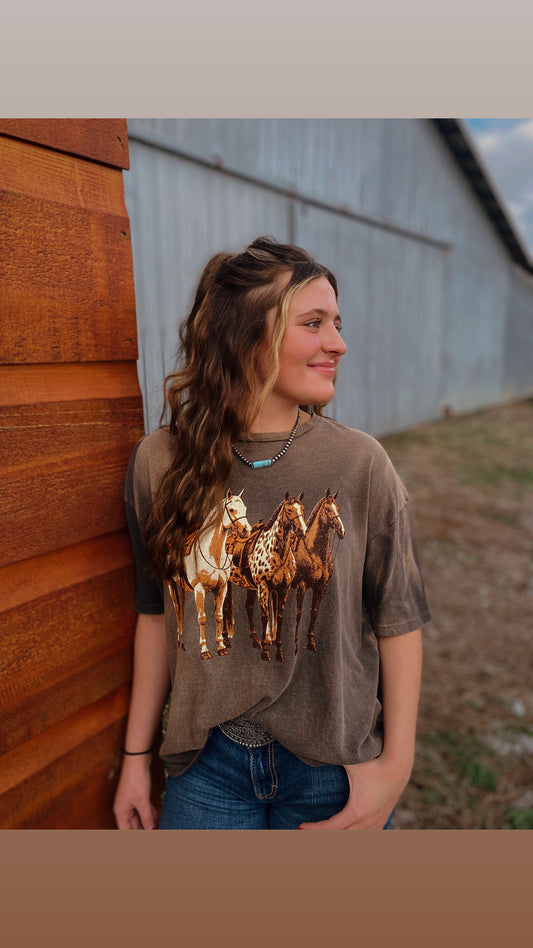 Horse Trio Vintage Graphic Potassium Spray Tee