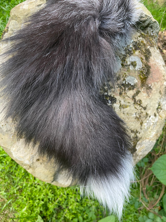 Silver Fox Tail